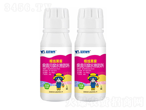 根線(xiàn)黑客-藍(lán)貓智慧