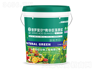 �ϷǾ���ԭ�{-���_�-ʥ������