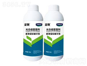 ��ϼ�(x��)������Һ�w-ȫ�n-����ٺ�