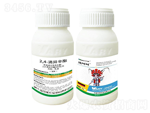 900��/��2,4-�ή�����-�غǺ�-�f(w��n)��