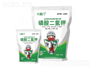 ��������-�����T-�|�h(yu��n)����