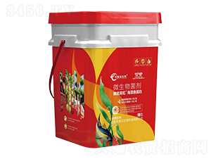 �����~����-κ�����-ľ�~ʯ