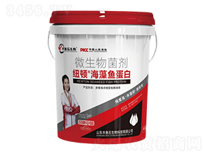 �����~����-�~�D-ľ�~ʯ