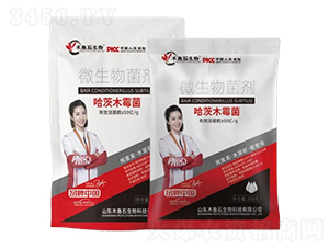 ����ľù��-ľ�~ʯ