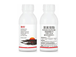 5%�����������-�ߞ�-�|�h����