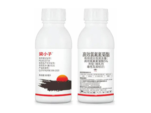 5%��Ч�ȷ������΢�鄩-�~С��-�|�h����