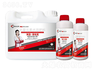 海藻·液體氮-木魚石