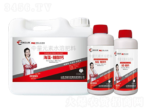 海藻·糖醇鈣-木魚石