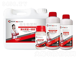 黃葉死苗一噴綠-木魚(yú)石