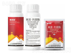 43%�������۾����Ҹ���-���{�-�|�h����