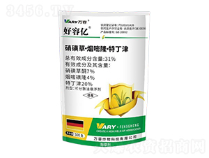 31%���ǲݡ�����¡���ض���500��-���݃|-�f��