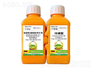 31%���ǲݡ�����¡���ض���+8%�h(hu��n)��ͪ-���݃|-�f��