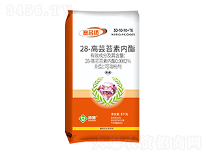 0.0002%28-���|̦�؃������ܷۄ�-ِ���P-���՘�