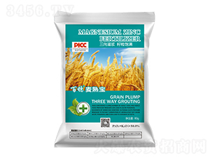 百穗麥熟寶-北沃農(nóng)業(yè)