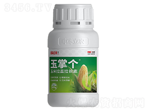 ������ֱ���L(zh��ng)��-���Ƃ�(g��)-�б����r(n��ng)