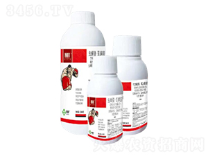 12%�x(ch��ng)���桤ʭ����Ҹ���-����-���՘�(l��)