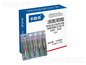 25��/���������-������-�t̫�(y��ng)