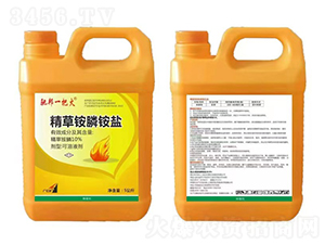 10%�����@��@�}5����-�Y��һ�ѻ�-�t̫�