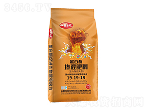 ����ø�������19-19-19-�t̫�