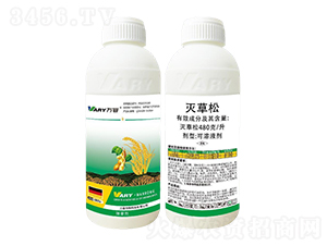 480��/�������-�f��