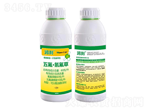 60��/������������-��(r��n)�x-�f��