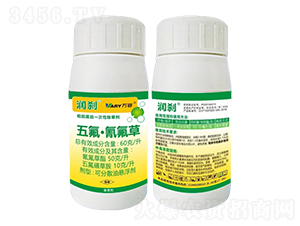 60��/������������300��-��(r��n)�x-�f��