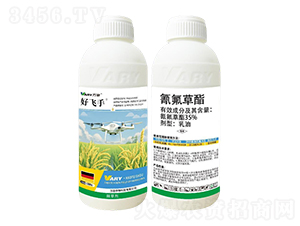 35%�������-���w��-�f��