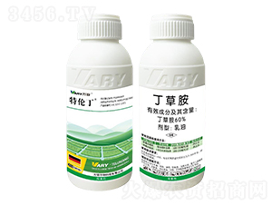 60%���ݰ�-�؂���-�f��