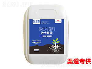 �������������ޏ�(f��)����-�۟o��