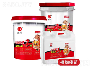 ������������΢�������-���