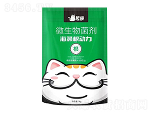 ΢�������-���������-��؈