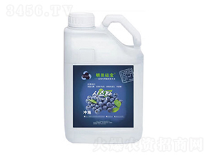 藍(lán)莓專用植物營養(yǎng)液-明田硅寶-真佳味