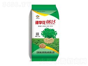 �����N��-姌W��0815-�h���N�I(y��)