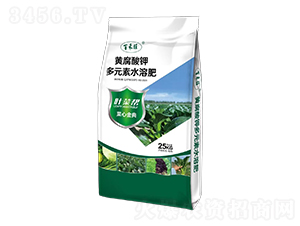 黃腐酸鉀多元素水溶肥-葉菜幫-百禾旺-梁山國豐