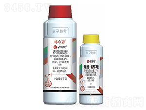 4%����ù��+12.3%���ѡ����h(hu��n)��-�n���-�n�ѻ��W(xu��)