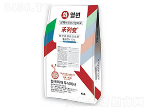 ������ȫ�I�B(y��ng)�����ͷ����-����׃-�n�ѻ��W