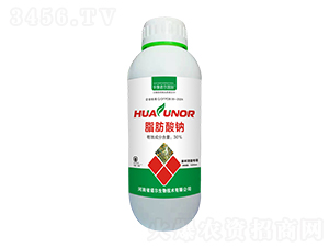 ֬�����c-���xȫ��-�Z������