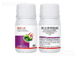 200��ÿ�����x��������-ҹ��(zh��n)�˷�-���ׁ�