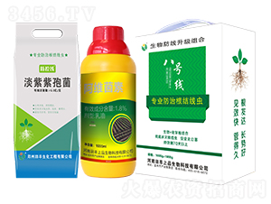 ��̖��-�۟o��