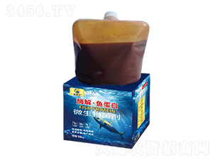 ø�⡤�~����΢�������-���R��