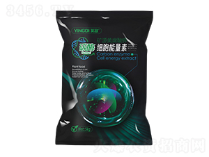 ̼ø��(x��)��������-Ӣ��-��ɭԪ