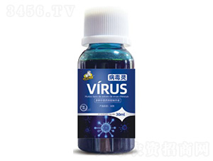 �����`-��˹��