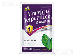 ����1̖-��˹��