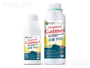 ���塤�}�V-�۶�����