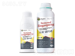 ���塤���}��-�۶�����