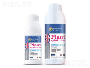 ֲ�：(x��)��������-��(��i)������ 