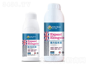 ������L��-�۶�����