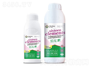 16Ԫ��-�۶�����