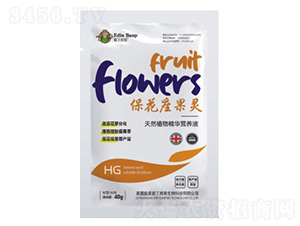 ?；ㄗ`-愛丁邦普