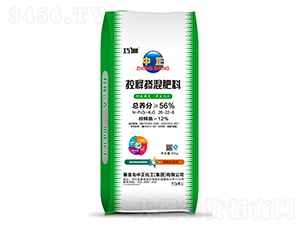 ��ጓ������26-22-8-��������